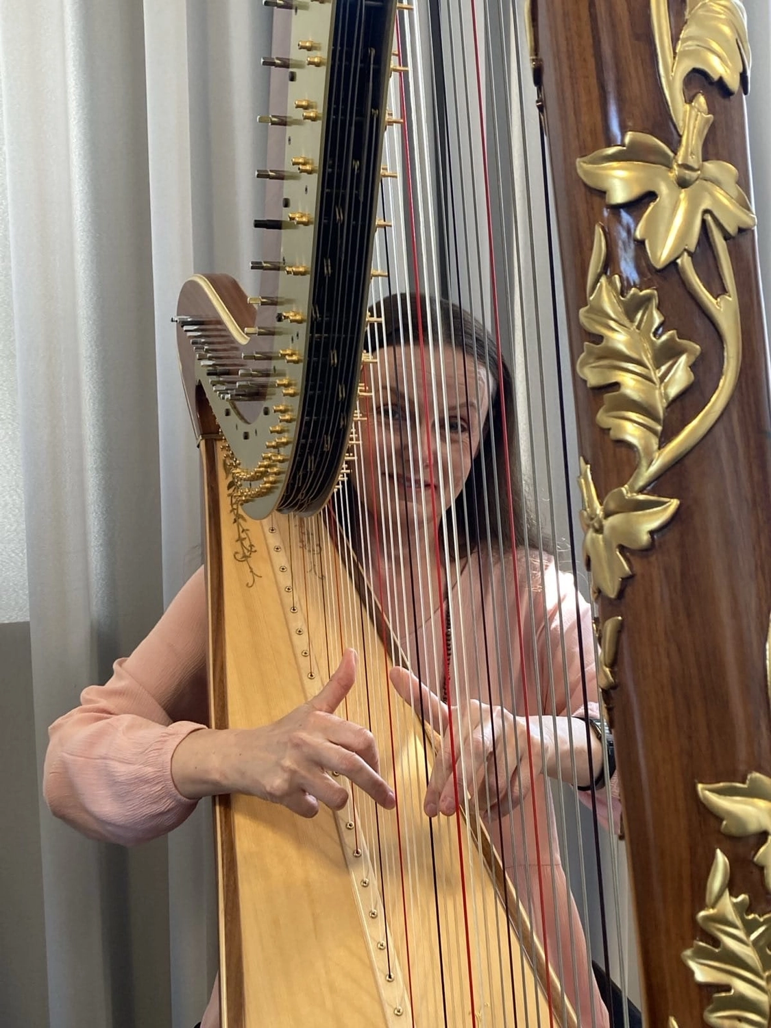 Tatjana Gribbe - Harfenistin mit Herz